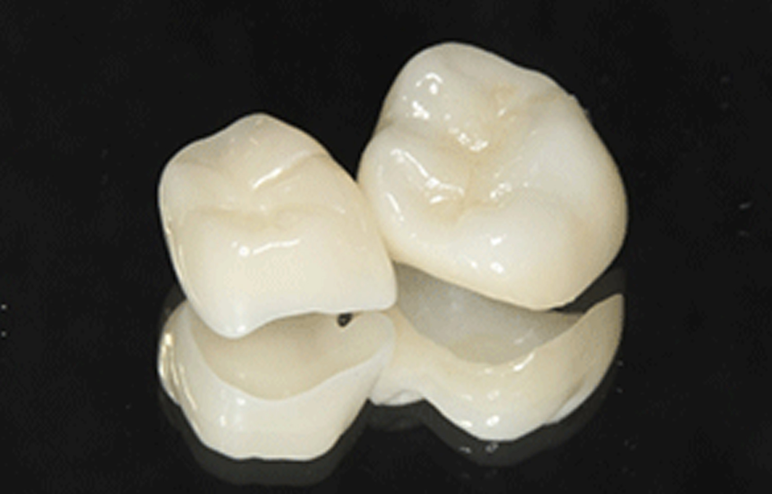 画像のタイトル